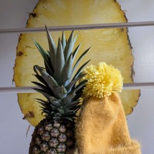 Pom-Pom